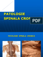 Patologie Spinala Cronica