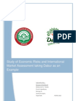 Study of Economic Risks and International Market Assessment