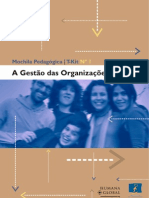 Gestão Das Organizações (Ue - 2001)