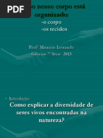 Como Nosso Corpo Est Organizado 7srie 1 Bi 1204581518983287 2