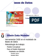 ERwin PDF