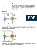 Gate Control Theory of Pain