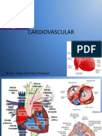 Cardiovascular