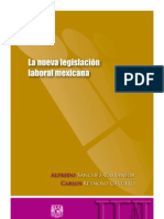 SÁNCHEZ-CASTAÑEDA. Alfredo, REYNOSO CASTILLO. Carlos, LA NUEVA LEGISLACIÓN MEXICANA. 1a. Ed. UNAM, 2013