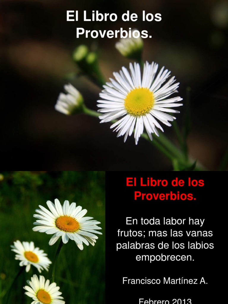 Proverbios: Sabiduría para Niños | PDF | Solomons | Libro de proverbios