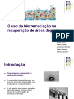 METAIS PESADO BIORREMEDIAÇAO.pdf