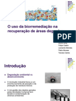 Metais Pesado Biorremediaçao PDF