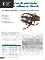 Peixes Nativos Brasil