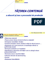 Îmbunătăţirea Continuă: A Afacerii Şi/sau A Procesului de Producţie