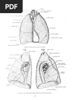 Download anatomski atlas delovi by Layla Malak SN126886859 doc pdf