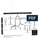 Django Genealogy