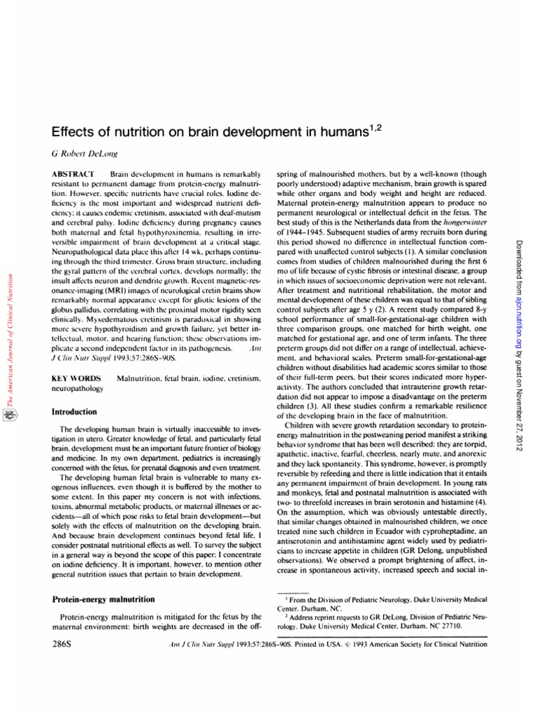 Nutrition's Impact on Brain Development | PDF | Cerebral Cortex ...