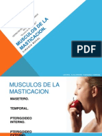 Musculos de La Masticacion