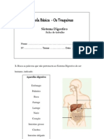 7 Actividade5 Fichadetrabalhodosistemadigestivo 120110142613 Phpapp02