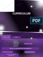 Curriculum