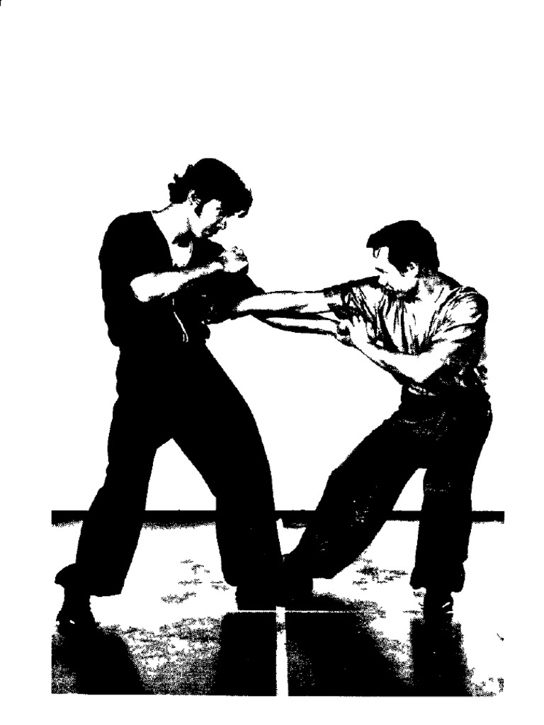 Hung Gar Kung Fu PDF