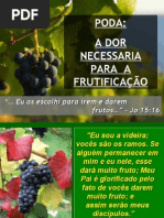 1º-2º SEGREDO DA VINHA - PODA, A DOR E DISCIPLINA
