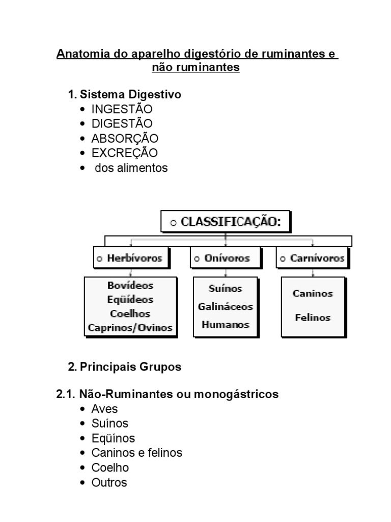 Anatomia Do Aparelho Digestorio de Ruminantes e Nao Ruminantes PDF ...