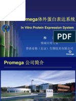 Promega体外蛋白表达系统