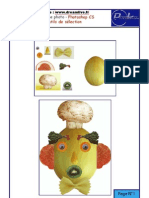 Adobe Photoshop Cs Techniques Et Outils de Sélection Formation Procédure Pas À Pas Truc Astuce Fiche Dreamlive