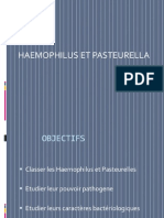 Haemophilus Et Pasteurella l2