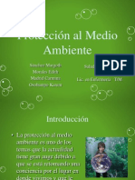 Proteccion Al Medio Ambiente