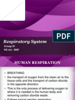 NS- Respiratory System.pptx