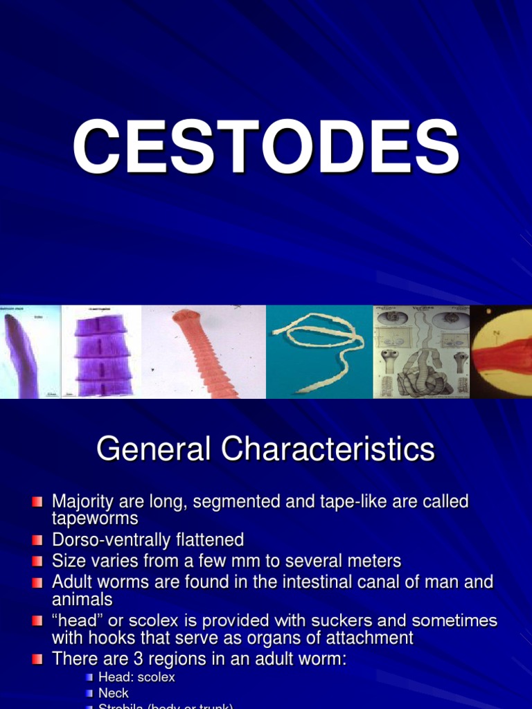 Cestodes 1 | PDF | Medical Specialties