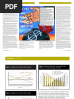 What Are Your Hedging Options?: Executive Summary