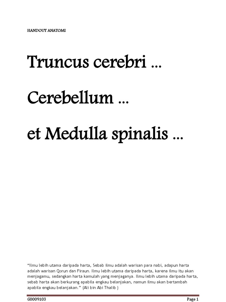 Truncus Cerebri, Cerebellum, Medulla Spinalis | PDF
