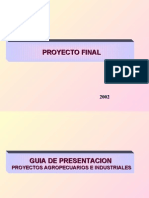 Guia Ingenieria Del Proyecto