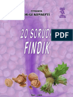 20 Soruda Findik