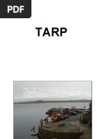 Download TARP Troubled Asset Relief Program in Pictures by DealBook SN12704684 doc pdf