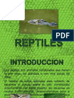 Reptiles 1