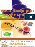 Presentacion Metabolismo Edgar