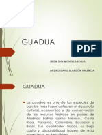 GUADUA (4).pptx