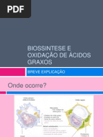 Biossintese e Oxidac3a7c3a3o de c3a1cidos Graxos
