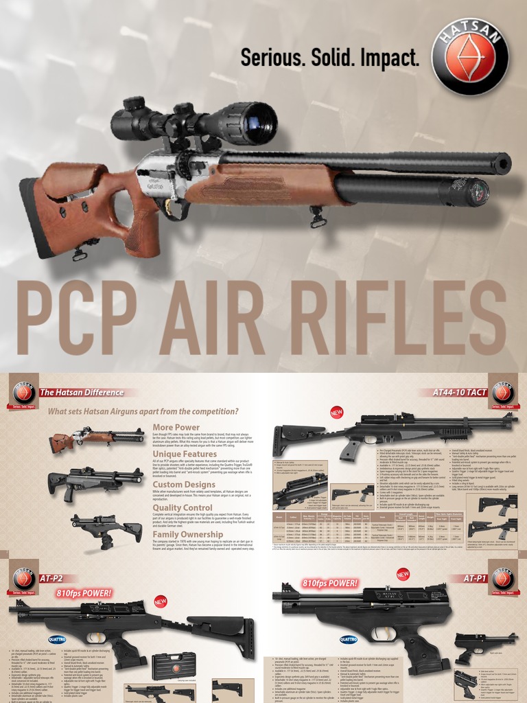 PCP Air Rifles 2013 | PDF | Gun Barrel | Rifle
