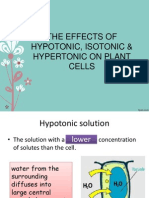 Effect Solution on Plant Cells