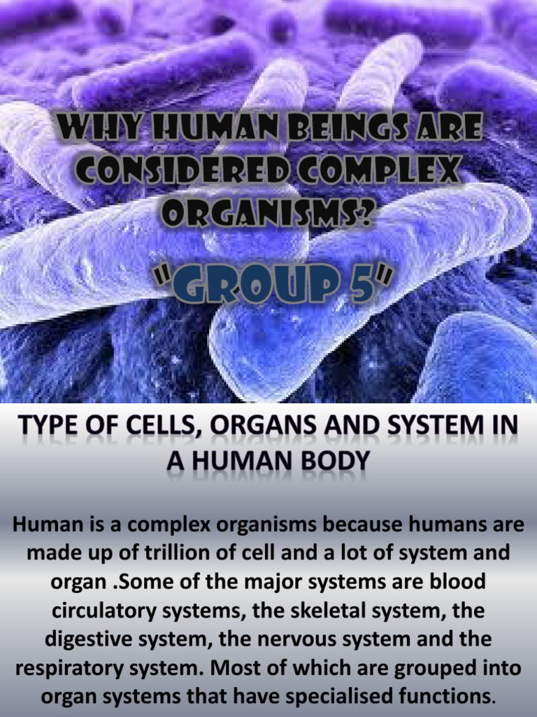 Why Human Beings Are Considered Complex Organisms Group 5 | Human Body