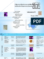 Cuadro de P. Biologicos