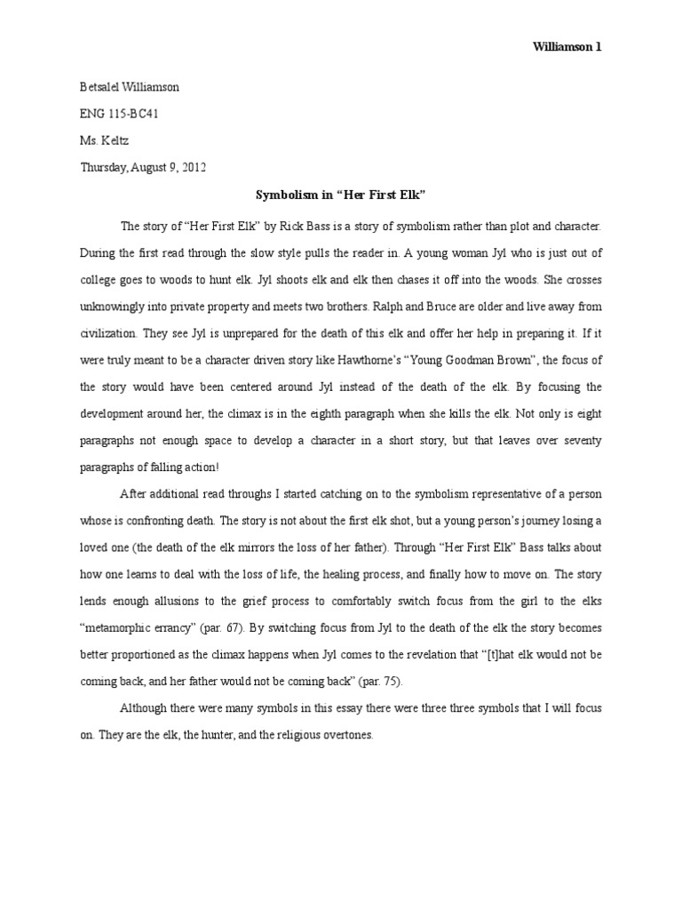 Essay american revolution causes