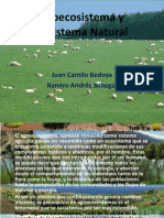 Agroecosistema y Ecosistema Natural