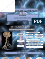 Senos Venosos Cerebrales Mi Presentacion