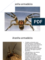 Aranha Armadeira