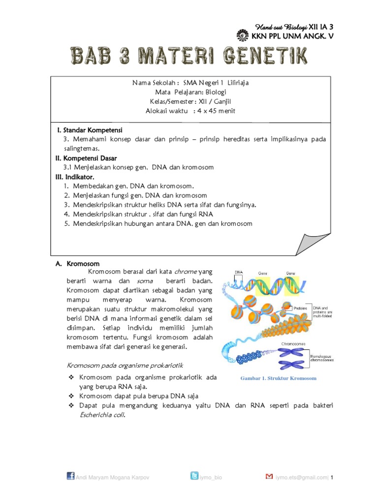 Handout Biologi Materi Genetika Xii Ia 3