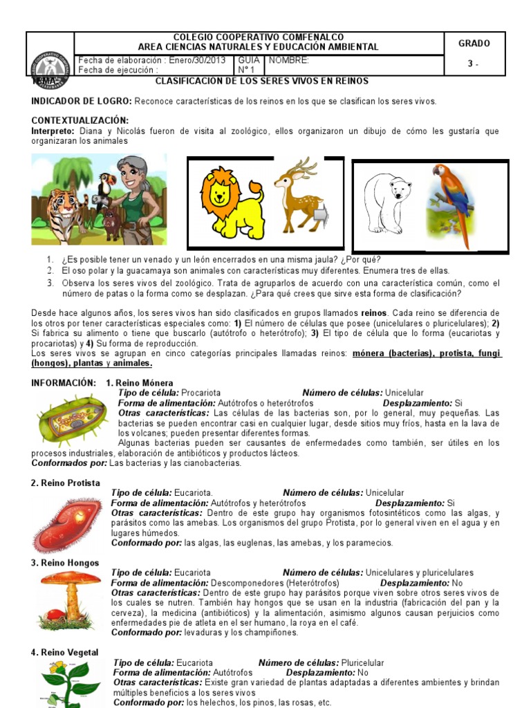 Guía # 1 Reinos | PDF | Eucariotas | Organismos