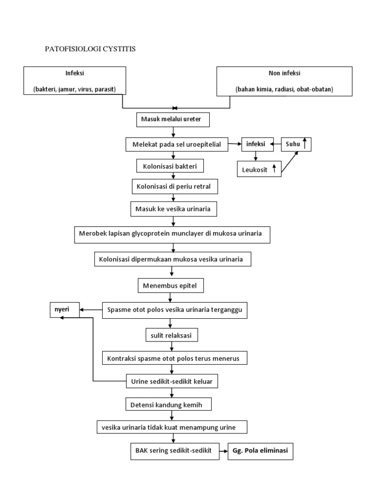 Patofisiologi Cystitis | PDF | Ilmu Sosial