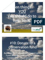 10 Things To Help Birds