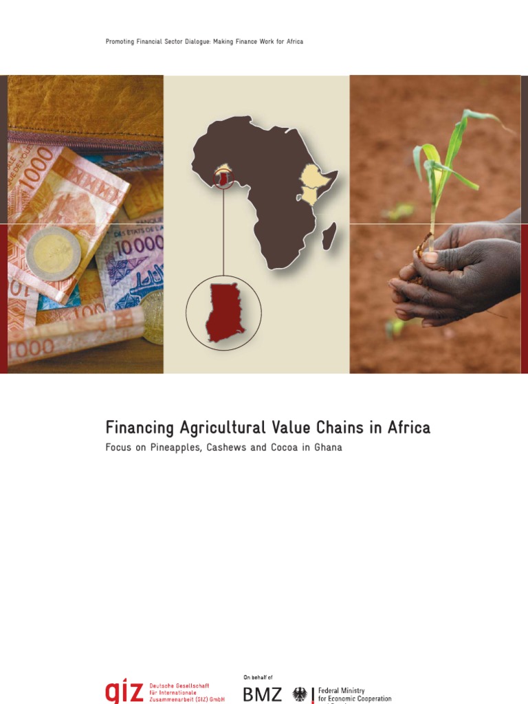 03 Giz2011 0370en Agricultural Value Chains Ghana | PDF